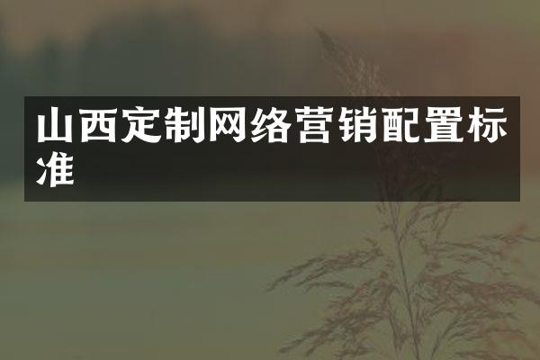 山西定制网络营销配置标准