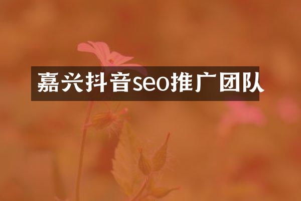 嘉兴抖音seo推广团队