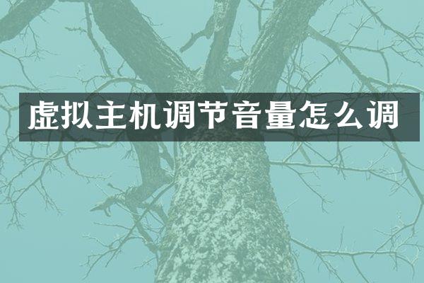 虚拟主机调节音量怎么调