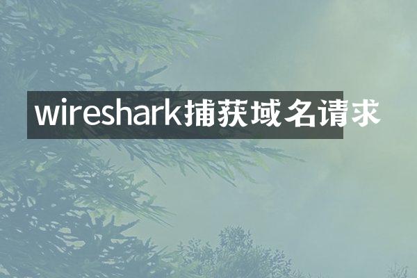 wireshark捕获域名请求