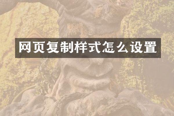 网页复制样式怎么设置