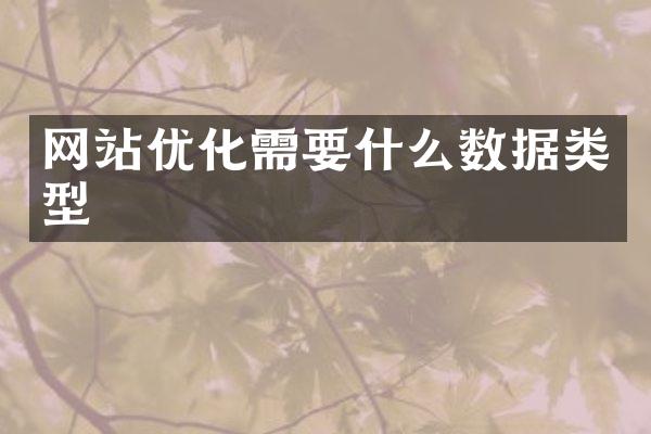 网站优化需要什么数据类型