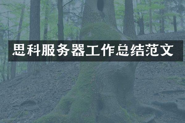 思科服务器工作总结范文