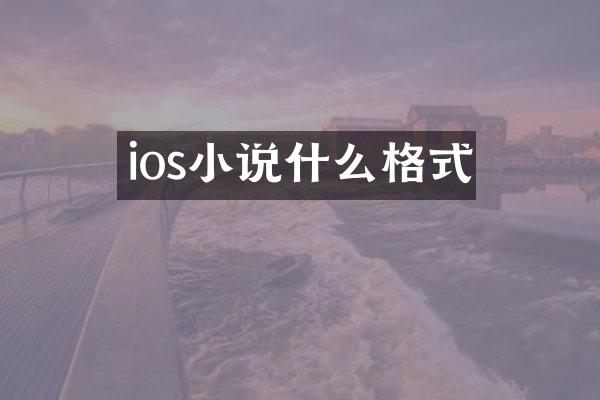 ios小说什么格式