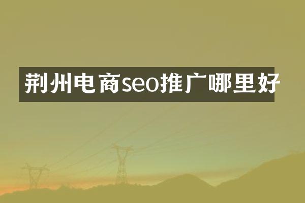 荆州电商seo推广哪里好