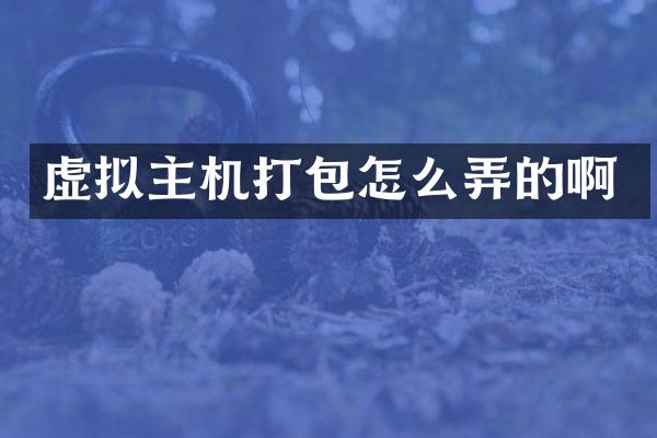 虚拟主机打包怎么弄的啊