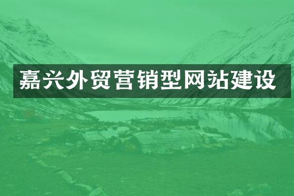 嘉兴外贸营销型网站建设
