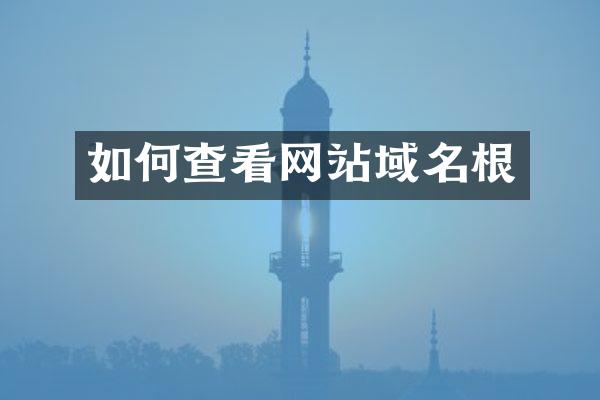 如何查看网站域名根