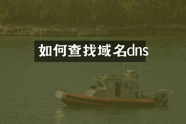 如何查找域名dns