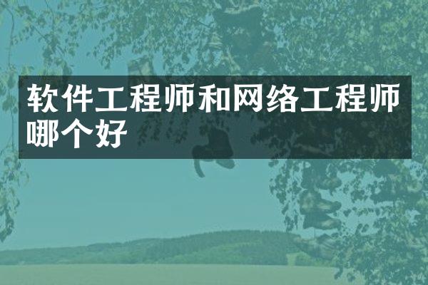 软件工程师和网络工程师哪个好