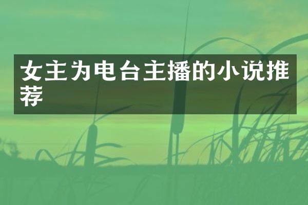 女主为电台主播的小说推荐