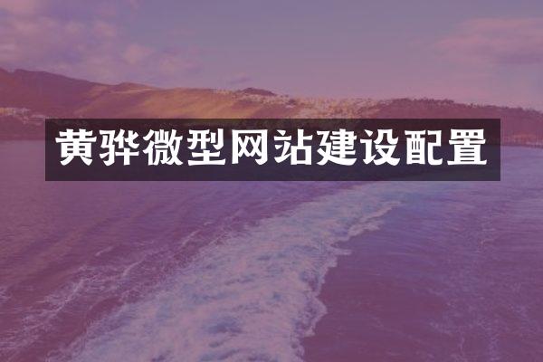 黄骅微型网站建设配置
