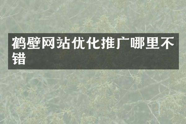 鹤壁网站优化推广哪里不错