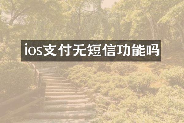 ios支付无短信功能吗