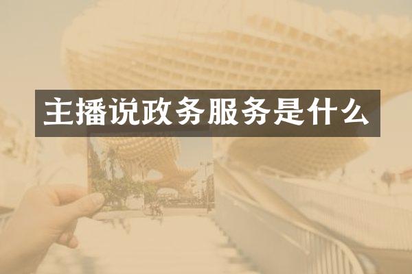 主播说政务服务是什么