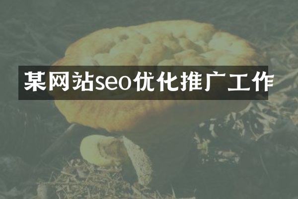 某网站seo优化推广工作