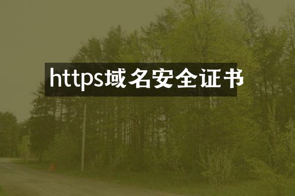 https域名安全证书