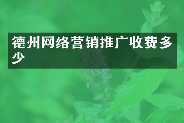德州网络营销推广收费多少