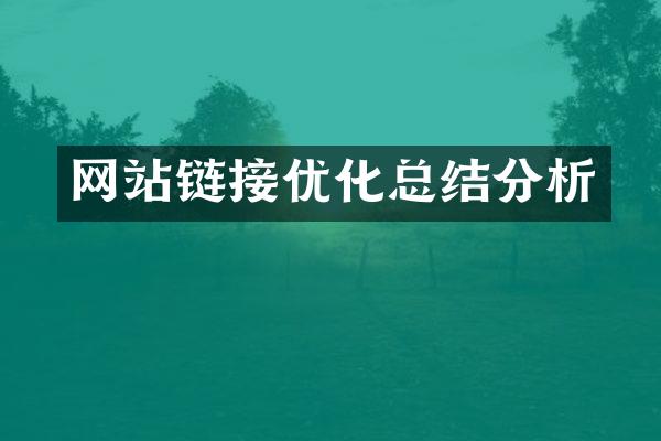 网站链接优化总结分析