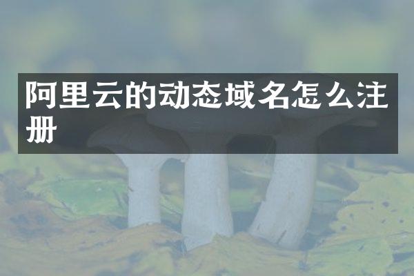 阿里云的动态域名怎么注册