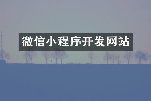 微信小程序开发网站
