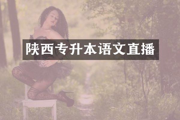 陕西专升本语文直播