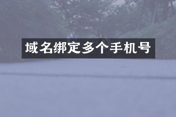 域名绑定多个手机号