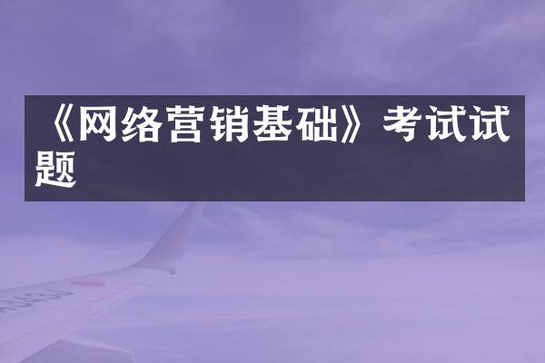 《网络营销基础》考试试题