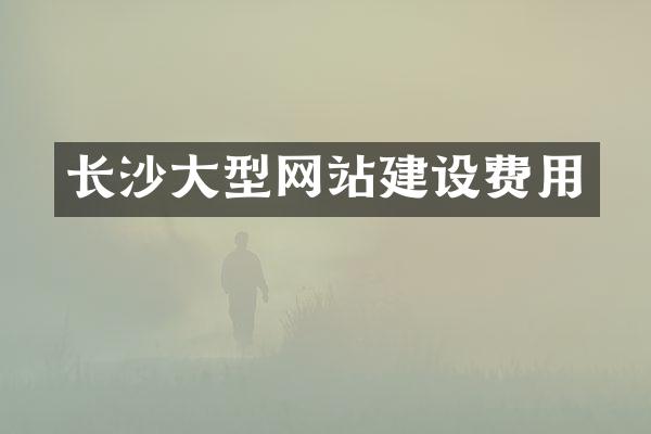 长沙大型网站建设费用