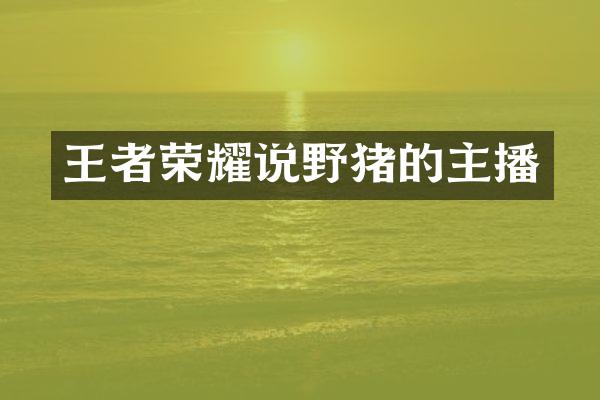 王者荣耀说野猪的主播