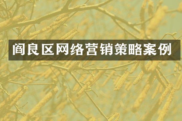 阎良区网络营销策略案例