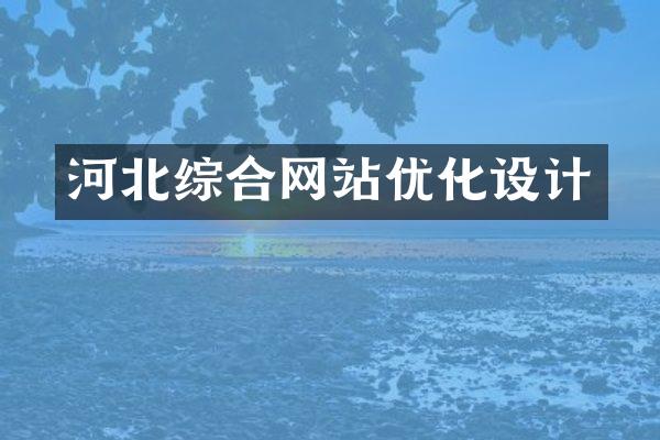 河北综合网站优化设计