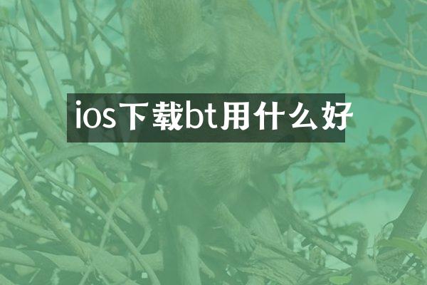 ios下载bt用什么好