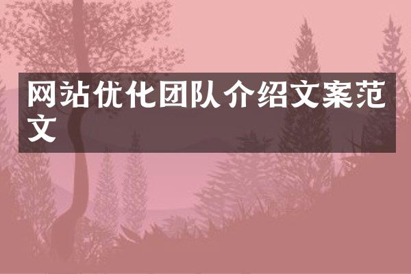 网站优化团队介绍文案范文
