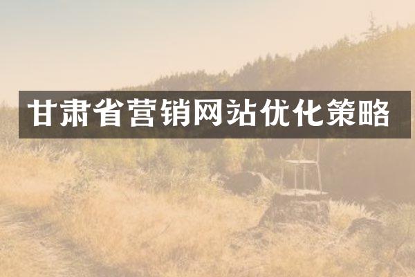 甘肃省营销网站优化策略
