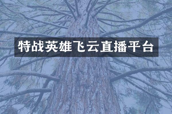 特战英雄飞云直播平台