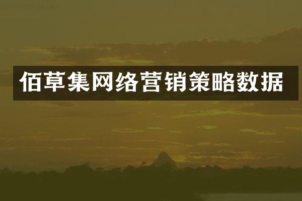 佰草集网络营销策略数据
