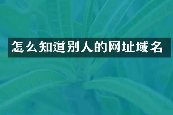 怎么知道别人的网址域名