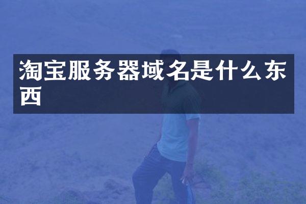 淘宝服务器域名是什么东西