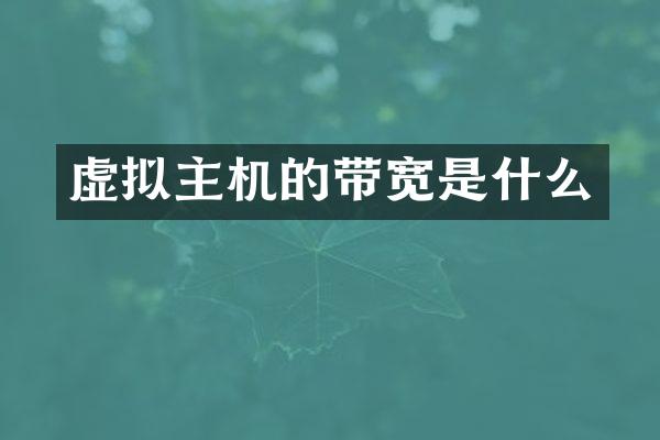 虚拟主机的带宽是什么