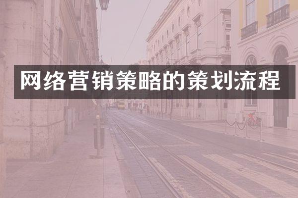 网络营销策略的策划流程