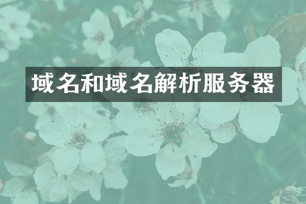 域名和域名解析服务器