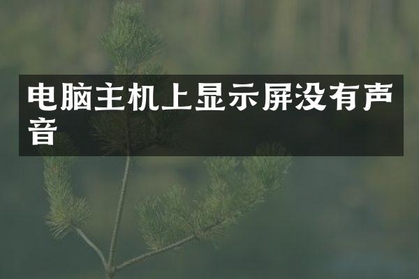 电脑主机上显示屏没有声音