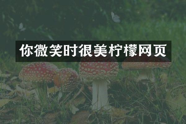 你微笑时很美柠檬网页