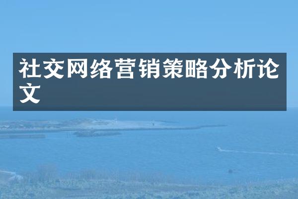 社交网络营销策略分析论文