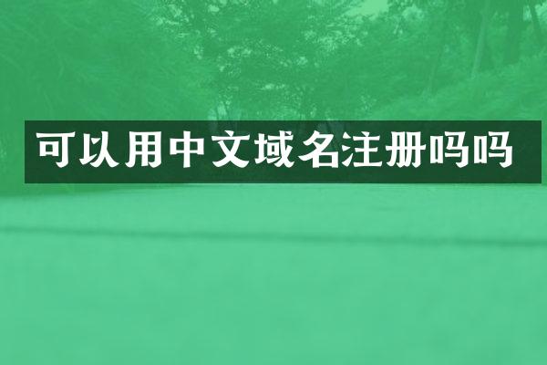 可以用中文域名注册吗吗