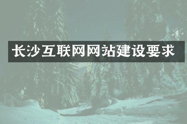 长沙互联网网站建设要求