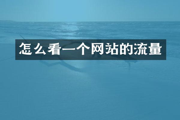 怎么看一个网站的流量