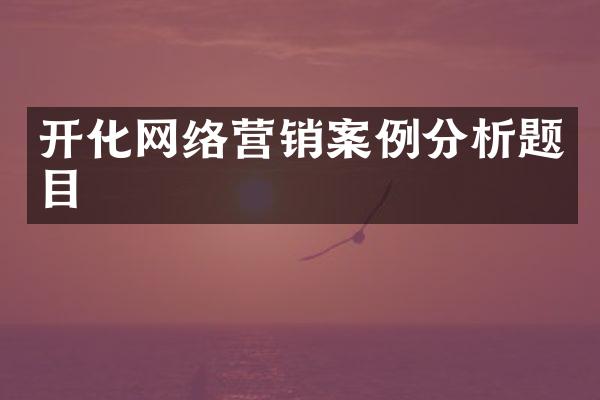 开化网络营销案例分析题目