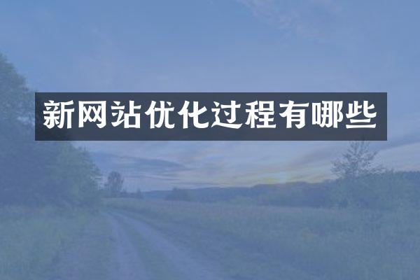 新网站优化过程有哪些